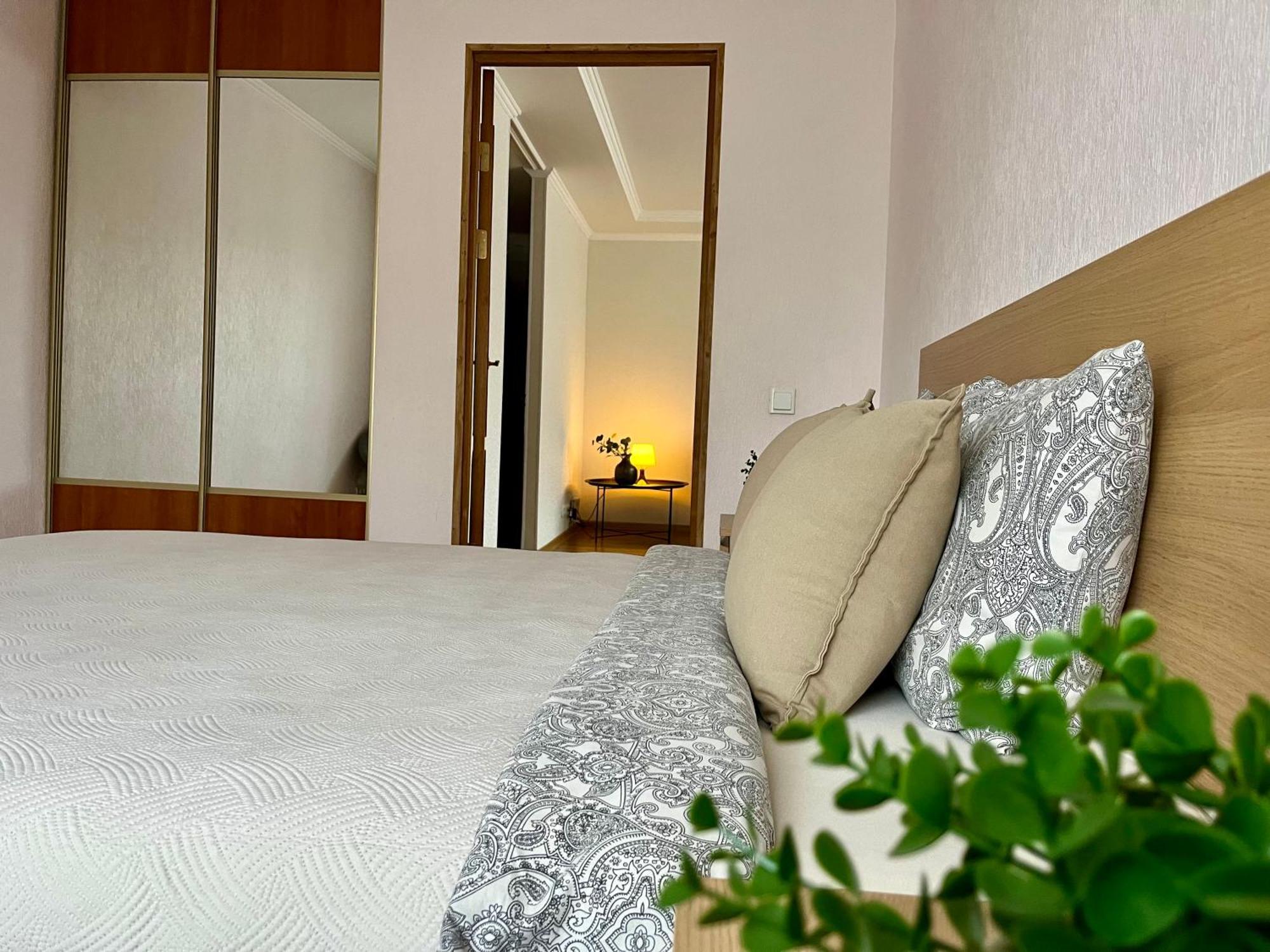Center Two Bedroom Apartment Daugavpils Kültér fotó
